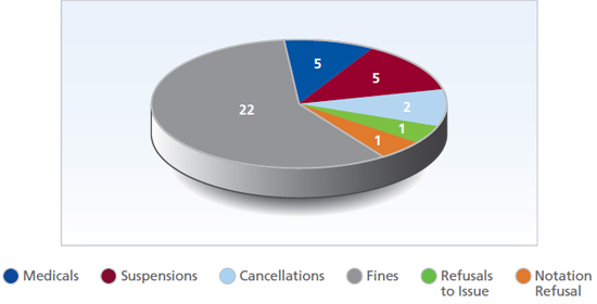 Pie chart of hearings by category (described above)