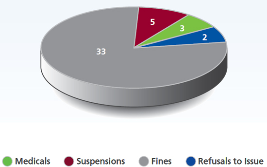 Pie chart of hearings by category (described above)
